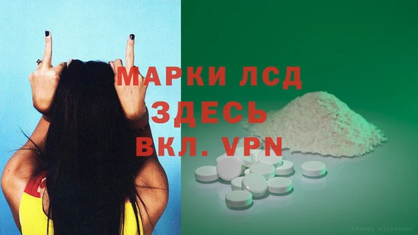 стаф Вязники