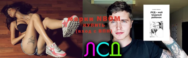 гидра Горнозаводск