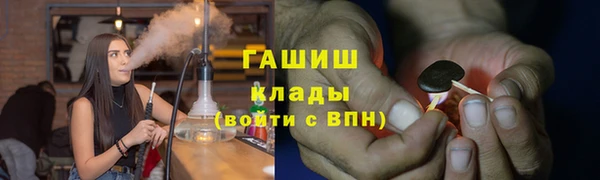 гидра Горнозаводск