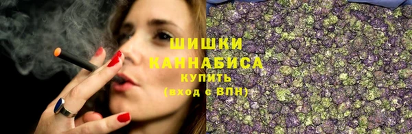 гидра Горнозаводск