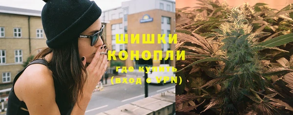 гидра Горнозаводск