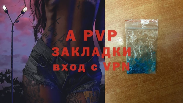 стаф Вязники