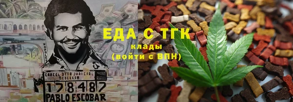 гидра Горнозаводск
