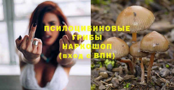 стаф Вязники