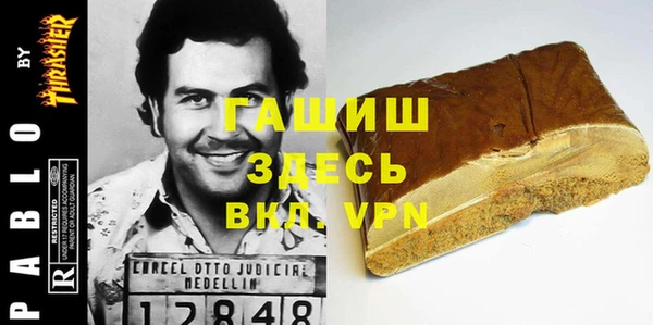 гидра Горно-Алтайск